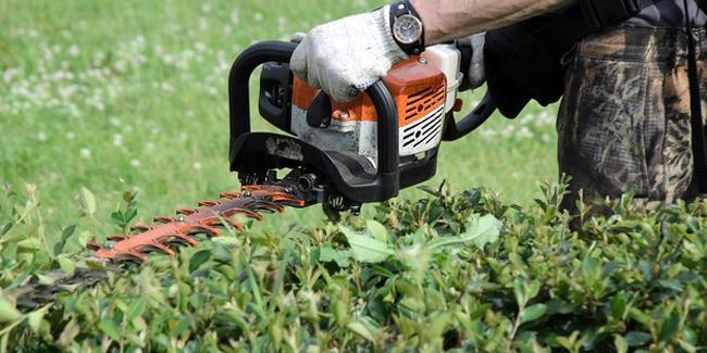 Taille-haie : choisir un modèle électrique ou thermique efficace
