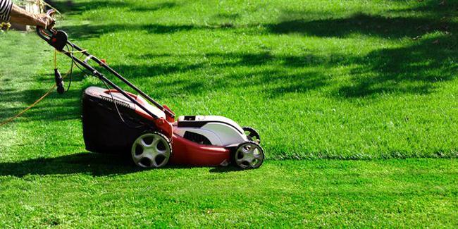 Tondeuse électrique : modèles, choix et conseils d'achat - CHOL'TI Débarras