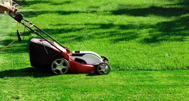 Tondeuse electrique chol ti debarras